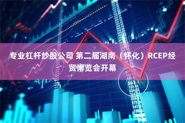 专业杠杆炒股公司 第二届湖南（怀化）RCEP经贸博览会开幕
