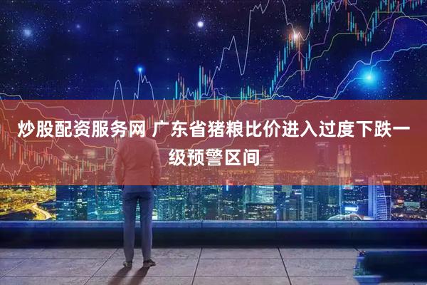 炒股配资服务网 广东省猪粮比价进入过度下跌一级预警区间